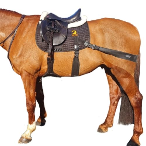 Equine Band System - Core Training Aid for Horses. Saddle Pad and Equibands System (All Purpose)