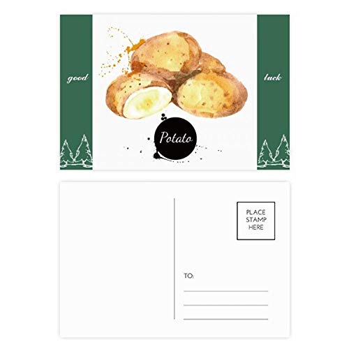 Carte postale aquarelle de pommes de terre et légumes imprimés, lot de 20 cartes postales