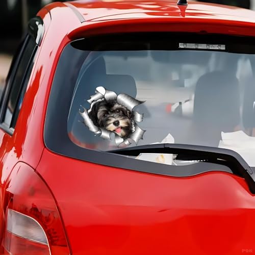 Havaneser Hund Aufkleber, 3D Zerrissener Metall-Effekt, Reflektierend, Wasserfest, Lustiger Havanese Aufkleber für Laptop, Auto, Kühlschrank (15cm/5.9 Inch)