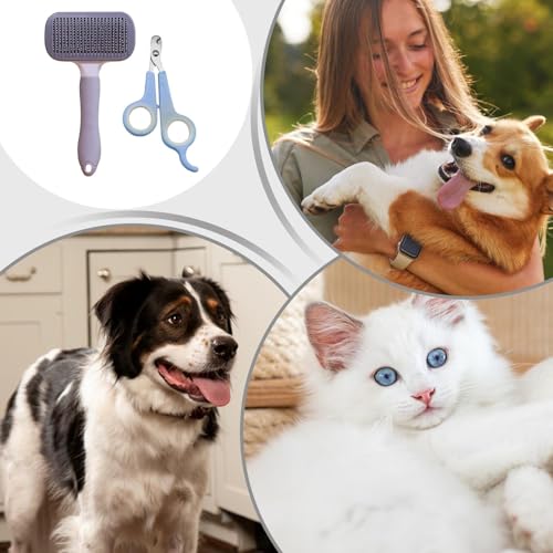 Escova Para Gatos Com Queda De Pelos | Pente Para Pelos Curtos De Animais | Acessórios Para Pets Cor