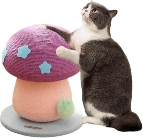 WQNB ^LEqLp~jLbg^[ ̂^fUCł킢͋C VRTCU܂Ƃ|[t ؐyň芎 i cuȃXy[X gȒP ^sEXgXɖ𗧂p[vJ[?