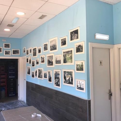 Alpinaluz Autotest LED-Notfallleuchten, 2 Stück, 3 W, mit Lithium-Akku, permanent und nicht permanent, Einbau- oder Oberflächenmontage, 265 lm, 6500 K, 3 Stunden Laufzeit für Decke oder Wand