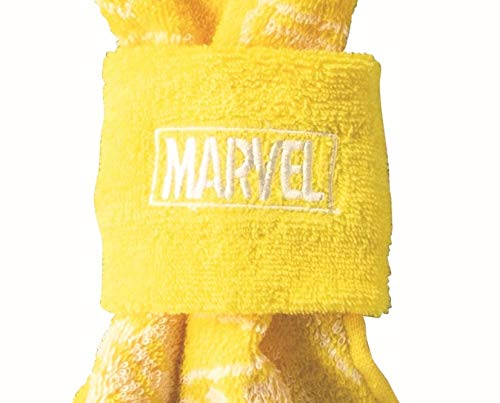 ☆ AAA 10th マフラータオル リストバンド ☆ ☆ AAA 10th マフラータオル リストバンド ☆ GOODS | AAA