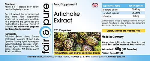 Artisjok capsules - extract gestandaardiseerd op 2,5% cynarine - vegan - natuurlijk - zonder magnesiumstearaat - 120… - Image 4