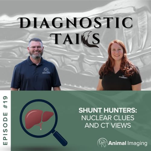 Shunt Hunters: Nuclear Clues and CT Views