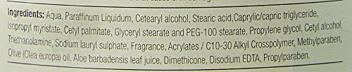 Image of Olivia Professional Herbal All Purpose Cream with Aloe Vera | Face Massage Cream for Men & Women | Hydrating, Nourishing & Moisturising Cream for Dry Skin, Winter Use & Daily Skincare Routine | 400g
