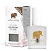 ella+mila Nail Care, Quick Dry Top Coat - In a Rush (high glossy shine, UV inhibitor which prevents yellowing)
