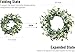 Pinkpum 20'' Eucalyptus Wreath for Front Door, Porch, Window - Green Decor for Home, Farmhouse - Spring, Summer, Fall, All Seasons