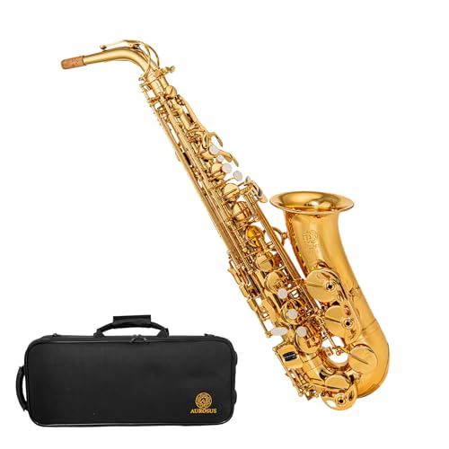 Reinforced Alto Saxophone Kit