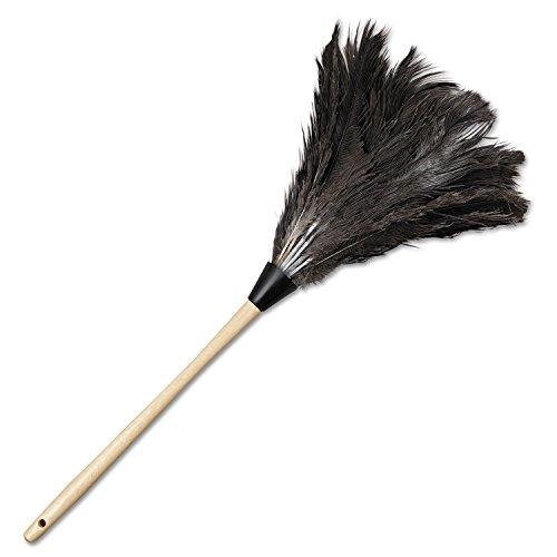 Image of Boardwalk Professional Ostrich Feather Duster, 7 inch Handle
