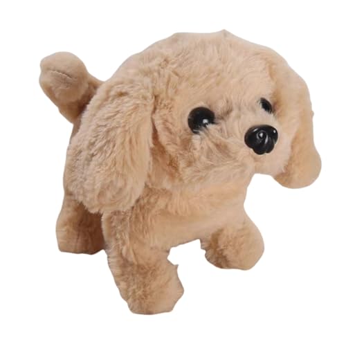 Qztuoryɔ錢 ̂ dʂ {bg    Mtg ɔ邨ጢ ʂ  (uh[)