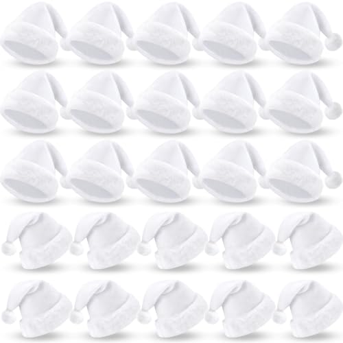 Image of Vicenpal 20 Pcs Santa Hats Bulk Plush Christmas Hats for Adults Women Men Holiday Party Costume(White)