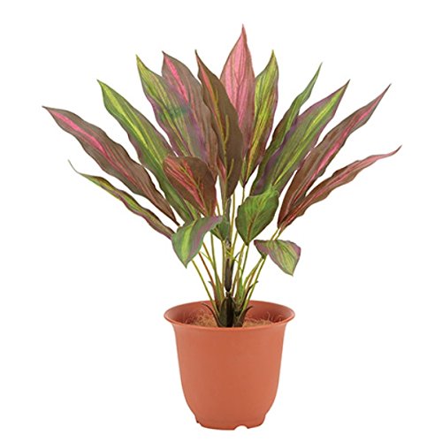 DecorationLabo/EH[^[v[thZiubV OΉ s|bgʔt LEB8203 tFCNO[ [t ubV  lHϗtA OΉ hZiubV hZi