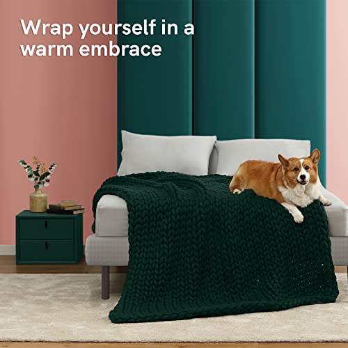 YnM Knitted Weighted Blanket, Handmade Chunky Knitted Design, Soft and Cozy, Temperature Regulating and Breathable, Machine Washable Throw for Sleep or Home Decor (Pacific Green, 50x60 Inch, 10lbs)