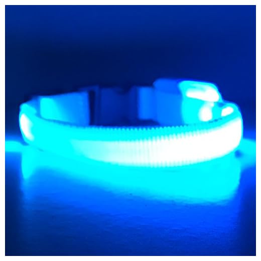 PetSol Ultra Bright Mini LED krage (liten (35 cm - 40 cm/13,8 tum - 15,7 tum), blå)
