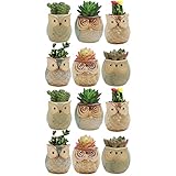 NOLITOY Jardinera De Cerámica 2 Sets 6 Unids Cerámica Suculenta Ollas Búho Macetas Macetas...