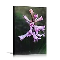 Canvas Wall Art Purple Petal Close Up Bedroom Close Up Colorful Floral Multicolor Petal Photography Romantics - 12x18 inches