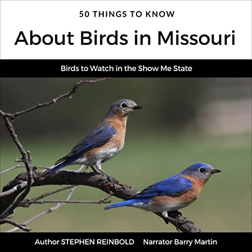 50 Things to Know About Birds in Missouri by Stephen Reinbold episode artwork