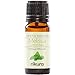 Price comparison product image 100% Pure Melissa (Lemon Balm) Essential Oil 10ml, 50ml, 100ml (10ml)