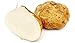 Bmore Spicy Jicama Mexican Yam Bean (Pachyrhizus erosus) Seeds, Non-GMO Heirloom for Planting, 5 Fresh Seeds for Indoor and Outdoor Gardening – Crisp, Nutritious Roots for Culinary Delights
