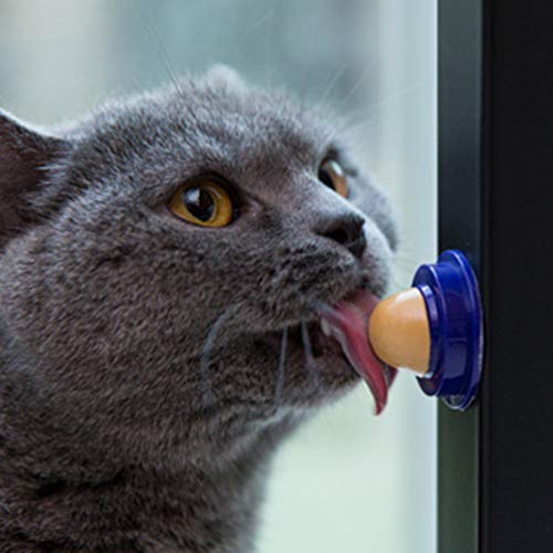 Scicalife 2 peças lanches para gatos e doces, lambendo lanches, bola de açúcar, erva de gato, petisc