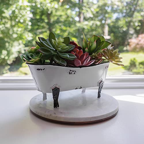 Treasure-Gurus-Rustic-White-Enamel-Clawfoot-Bath-Tub-Garden-Planter-Bathroom-Soap-Sponge-Holder Treasure Gurus Rustic White Enamel Clawfoot Bath Tub Garden Planter Bathroom Soap Sponge Holder