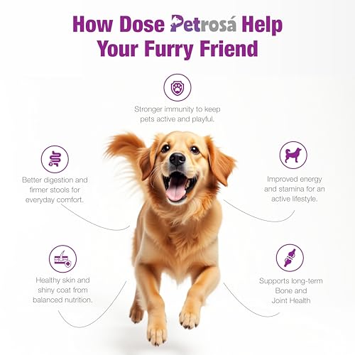 Image of Small Breed Puppy Dog Food (2 to 10 Months), 8 Kg, 30% High Protein with DHA & Prebiotics, Growth & Digestion Formula