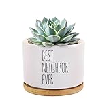Best Neighbor Ever Neighbors Gifts Ceramic Succulent Plant Pot with Tray Round Housewarming Farewell Moving Away Plant Lover Gifts Home Office Decor 3.5 Inch White (No Plants) (With Bamboo Tray)
