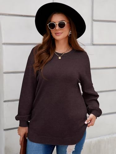 Image of BELAROI Plus Size Sweaters for Women Long Sleeve Shirts Loose Casual Oversized Tunic Sweater Fall Outfits Curved Hem M-5X