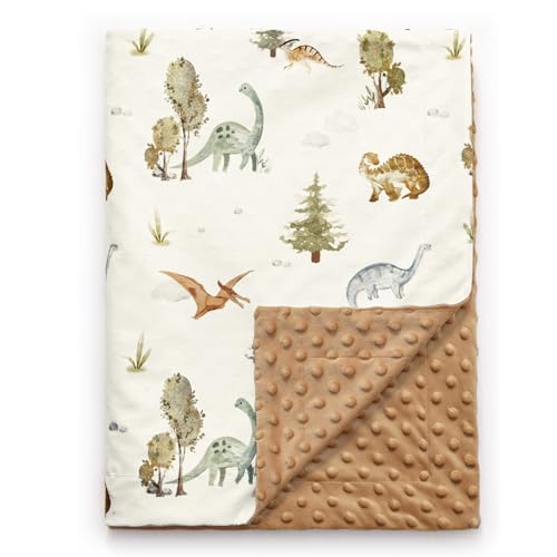Image of PHF Minky Baby Blanket for Boys Girls, 30x40 Inches Soft Double Layer Baby Blankets with Cute Dinosaurs, Receiving Blanket Bed Throws for Newborn, Infant, Babies