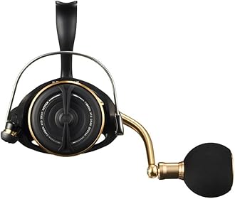 Spinning Reel 23BG SW 4000-18000 Various (2023 Model)