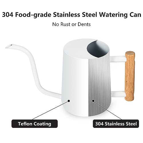 Image of Watering Can Indoor Plants, 35oz Small Stainless Steel Metal Watering Can Modern Decorative Watering Pot with Long Spout for Indoor House Plant Bonsai Outdoor Garden Flowers -White