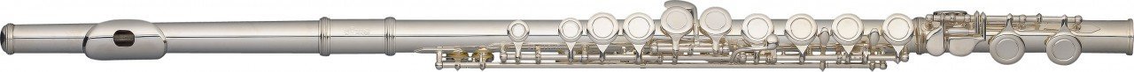 Stagg 22330 ABS Flauto in do, con custodia