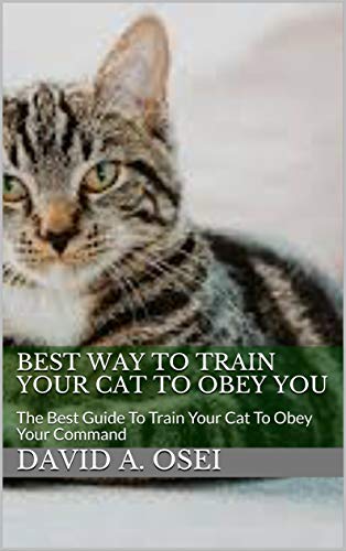 BEST WAY TO TRAIN YOUR CAT TO OBEY YOU: The Best Guide To Train Your Cat To Obey Your Command