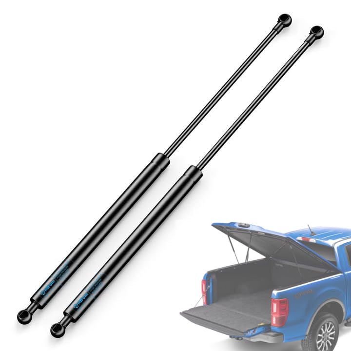 FilFom  Gas Struts Shocks 