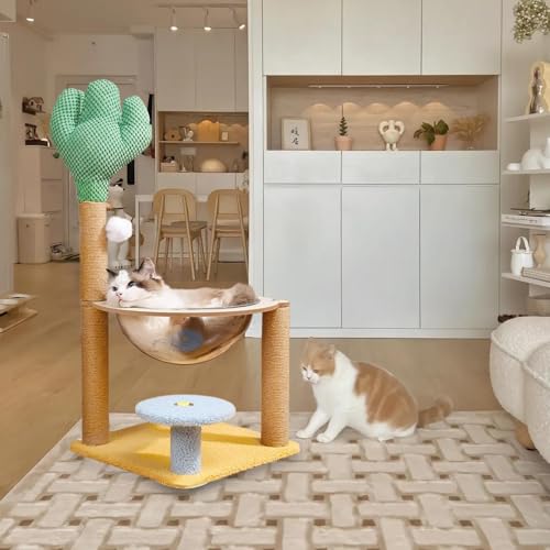 Maison de jeu interactive pour chat manquant d'exercice en appartement
