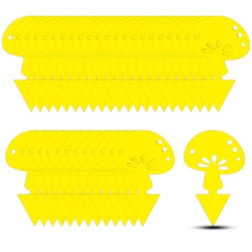 36PCS Fruit Fly Sticky Traps Fungus Gnat Traps Insect Trap for Plants Kitchen Indoor Outdoor White...