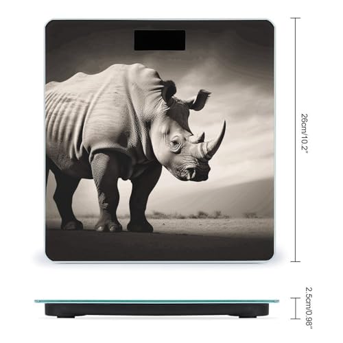 Báscula digital de baño con vidrio templado y pantalla LCD miniatura 2
