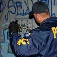 その他 Gangland: Die Snitch Die [DVD] Amazon.com: Gangland: Die, Snitch, Die : Gangland: Movies & TV