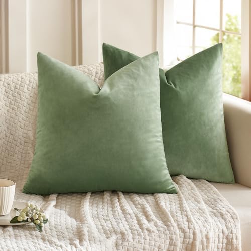 Amazon.com: MIULEE Pack of 2 Sage Green Decorative Pillow Covers 18x18 ...
