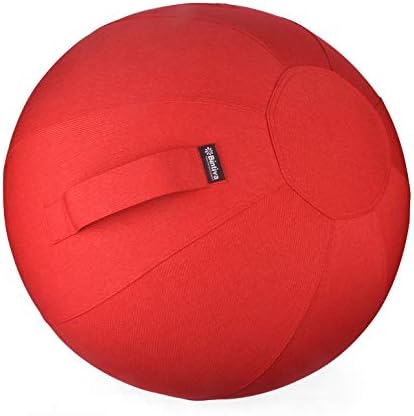 Stability Ball Chair for Office - Ergonomic Seating/Labor Birthing Pregnancy/Yoga Balance Stability Exercise Fitness