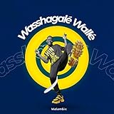Wasshagalé Wallé