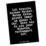 PERFEKTES MOTIV - Fun Talk Glizer Spruch Sprüche Weisheiten Zitate Lustig Weisheit Worte