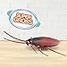 Robo Alive Scuttling Cockroach Battery-Powered Robotic Toy (2 Pack) (Custom Packaging) by ZURU