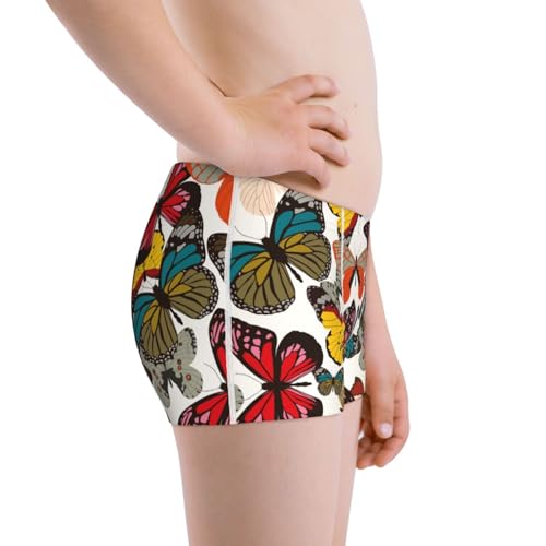 Boys' Cotton Boxer Brief Soft Underwear-Retro Floral Butterfly2