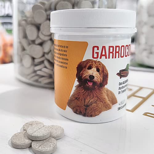 LABORATORIOS PINO, S.A. GARROCOMPLEX, 150 Comprimidos de algarroba para tu Mascota. Mejora el apetito y favorece el Correcto Funcionamiento de la microbiota. Fabricado en España Cover