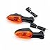 HEYUANGUO Señal de Giro Delantera/Trasera Compatible with Kawasaki Z650 Z800 Z900 Z1000 Z250 Z300 Z750 Z400 Versys 1000 650 ER6N ZRX1200 Motoccycle Light (Color : Orange)