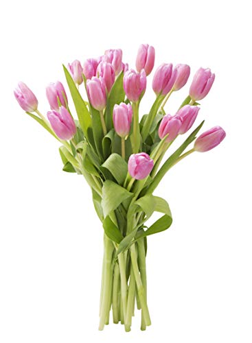 KaBloom-20 Pink Tulip Bouquet,Flowers for Valentine, Mother's Day
