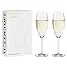 Produktbild RITZENHOFF 8011003 Champagnerglas 300 ml - Serie Glanzlicht - 2 Stück Kristallglas im Geschenk-Set - Made in Germany