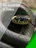 The Secret Life of Snakes